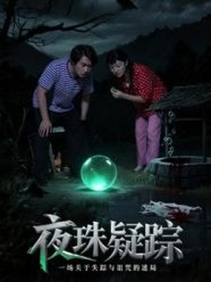 夜珠疑踪