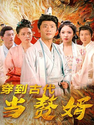 穿到古代当赘婿