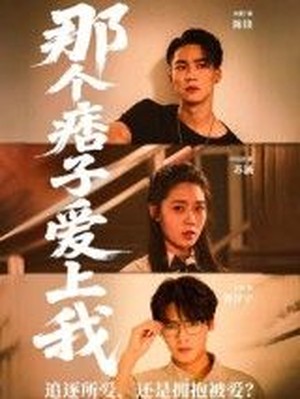 那个痞子爱上我