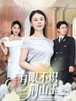 有眼不识荆山玉