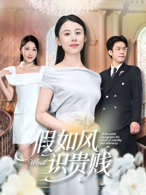 假如风识贵贱