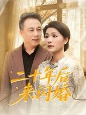 二十年后来闪婚