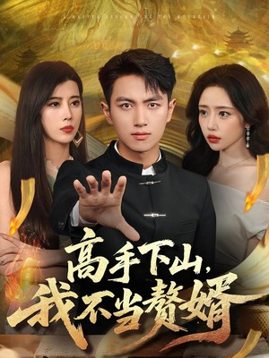 高手下山我不当赘婿