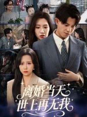 离婚当天世上再无我