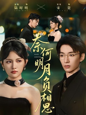 奈何明月负相思