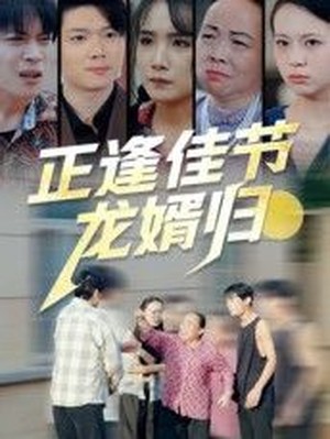 正逢佳节龙婿归