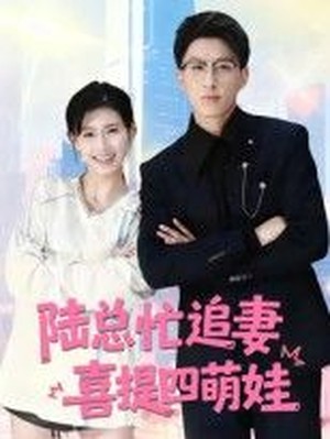 陆总忙追妻，喜提四萌娃