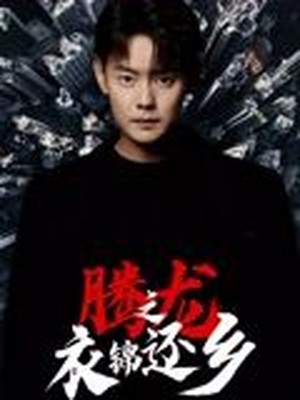 腾龙之衣锦还乡