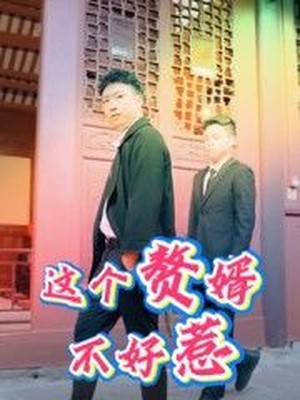 这个赘婿不好惹