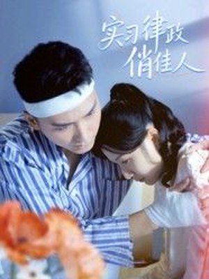 实习律政俏佳人