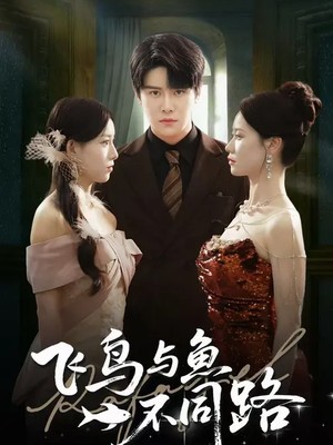 飞鸟与鱼不同路