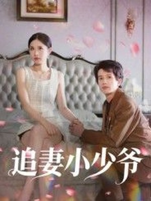 追妻小少爷