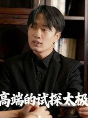 高端的试探太极