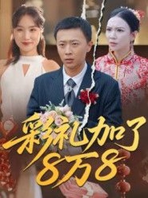 彩礼加了8万8