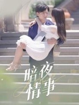 暗夜情事
