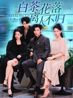 白茶花落离人不归