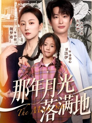 那年月光落满地