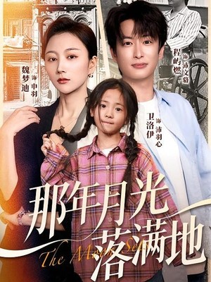 那年月光落满地