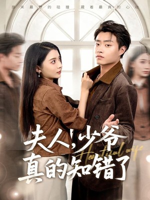 夫人，少爷真的知错了