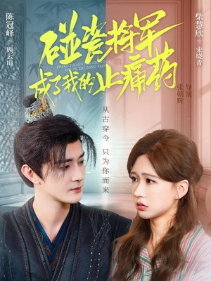 碰瓷将军成了我的止痛药