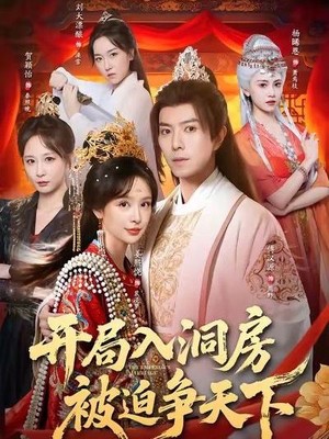 开局入洞房，被迫争天下