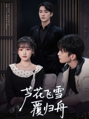 芦花飞雪覆归舟