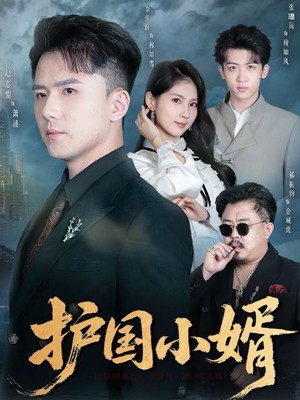 护国小婿