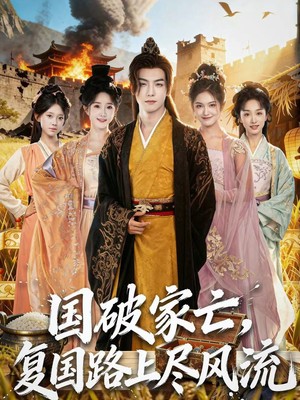 国破家亡，复国路上尽风流