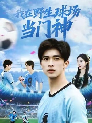 我在野生球场当门神