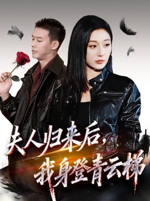 夫人归来后我身登青云梯