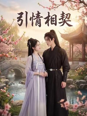 引情相契AI短剧