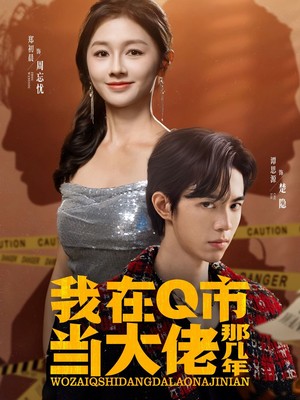 我在Q市当大佬那几年