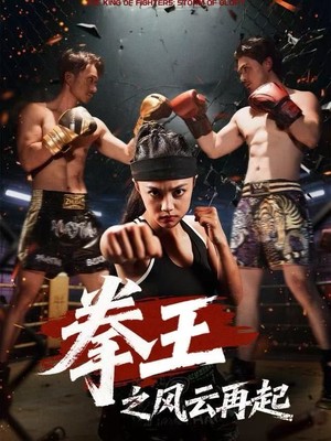 拳王之风云再起