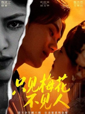 只见梅花不见人