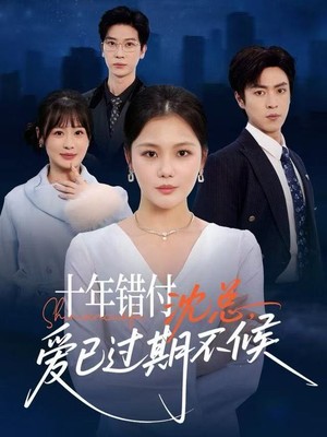 十年错付：沈总，爱已过期不候