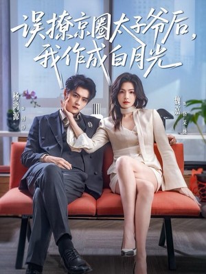 误撩京圈太子爷后，我作成白月光