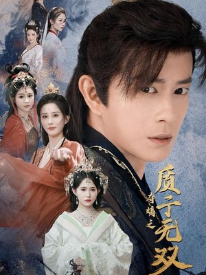 夺嫡之质子无双