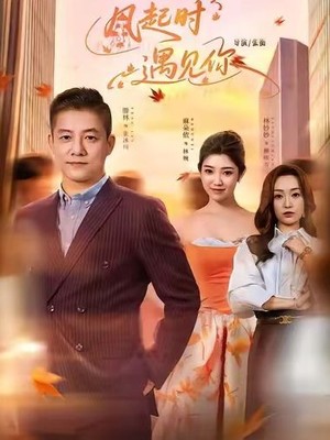风起时遇见你