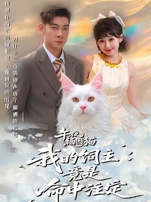 午夜缅因猫我的饲主竟是命中注定