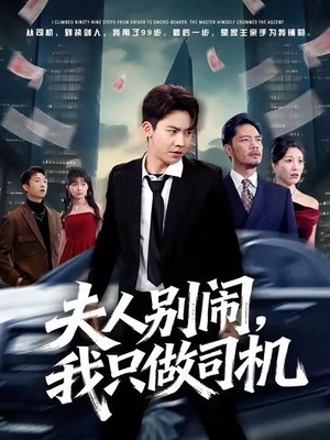 夫人别闹我只做司机