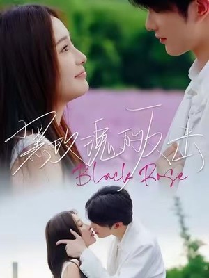 黑玫瑰的反击