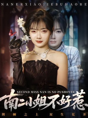 南二小姐不好惹