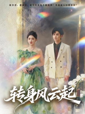 转身风云起
