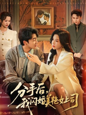 分手后，我闪婚美艳女上司