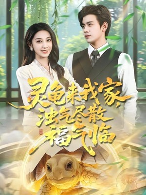 灵龟来我家，浊气尽散福气临