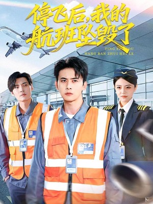 停飞后，我的航班坠毁了