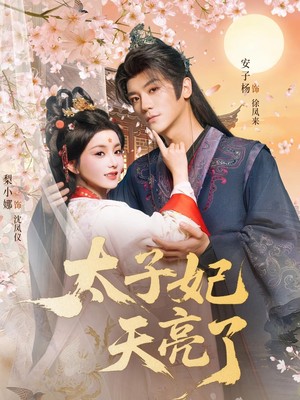太子妃天亮了