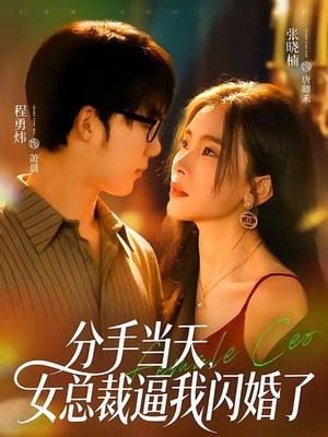 分手当天，女总裁逼我闪婚了
