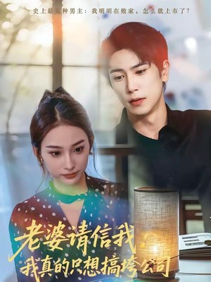 老婆请信我：我真的只想搞垮公司