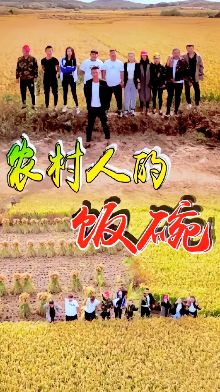 农村人的饭碗